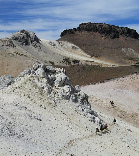 Sublimement sauvage la Patagonie argentine à cheval Chevauchée