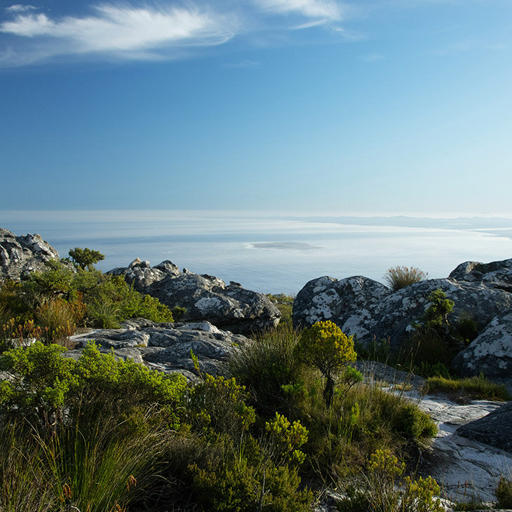 Sur les pas de Nelson Mandela à Robben Island