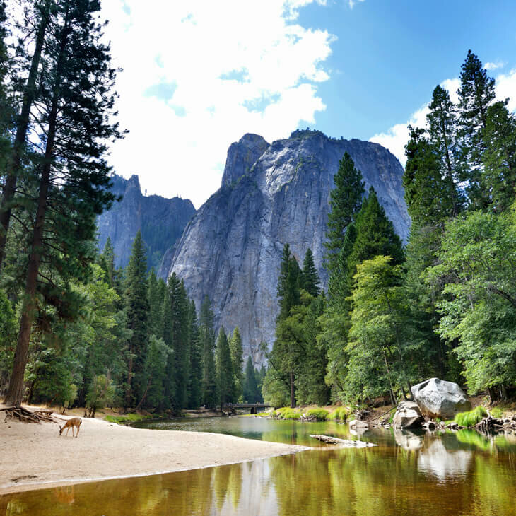 Yosemite :