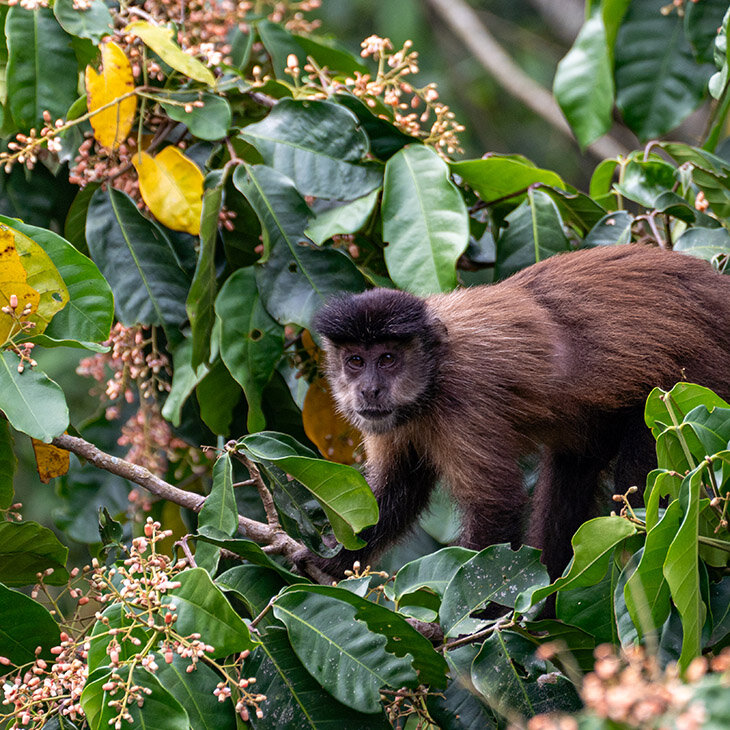 Une biodiversité