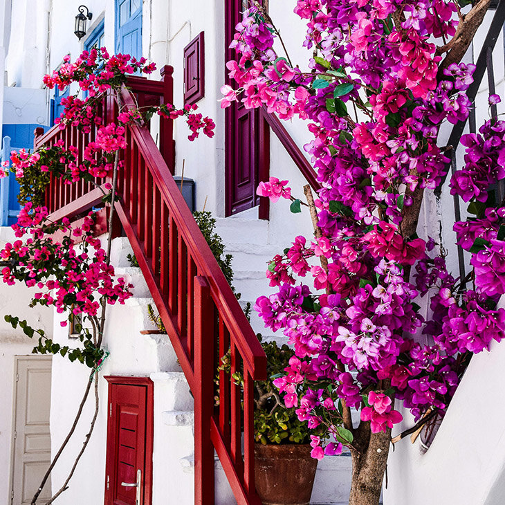 Mykonos, entre branchitude et zénitude