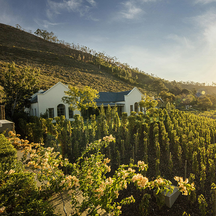 La Route des Vins, au cœur du vignoble