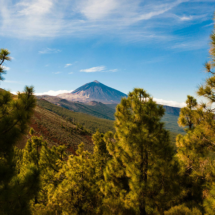 Randonnées dans le parc national du Teide