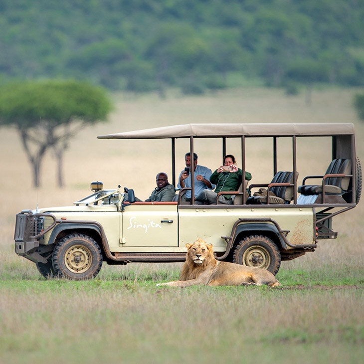 Le Serengeti en mode découverte