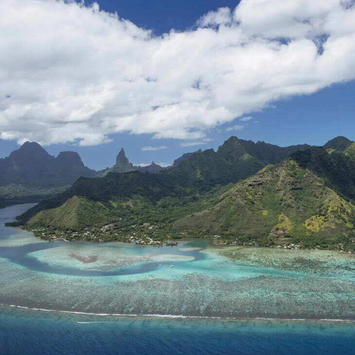 Un Trésor Tropical