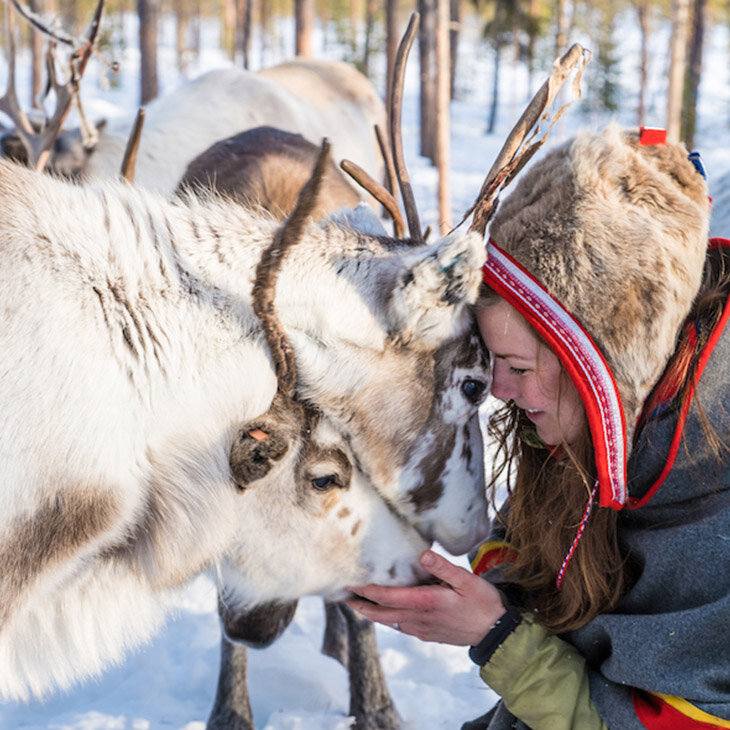 Laponie finlandaise pour petits et grands