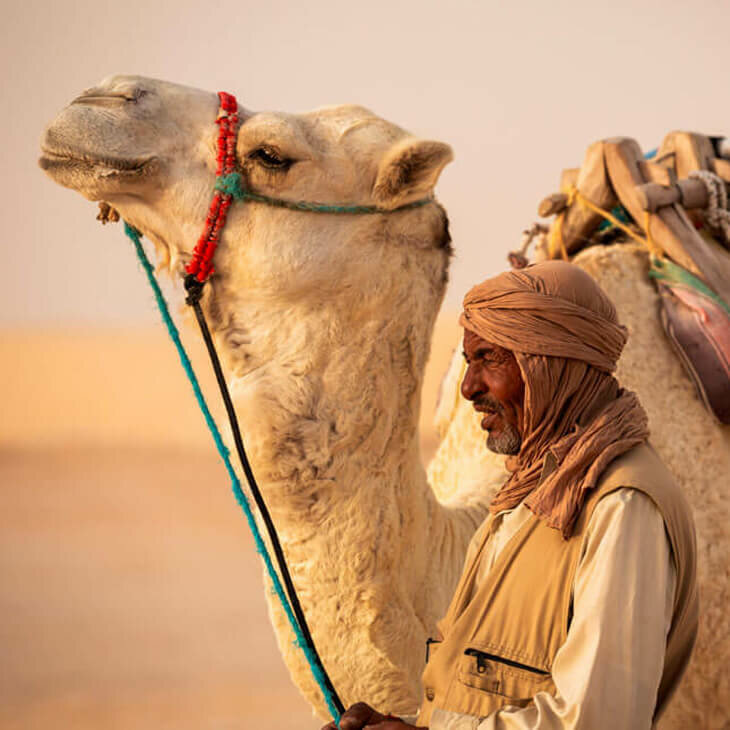 Immersion tunisienne