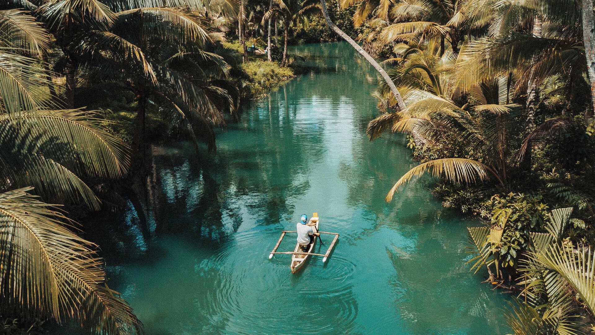 canoe palmier