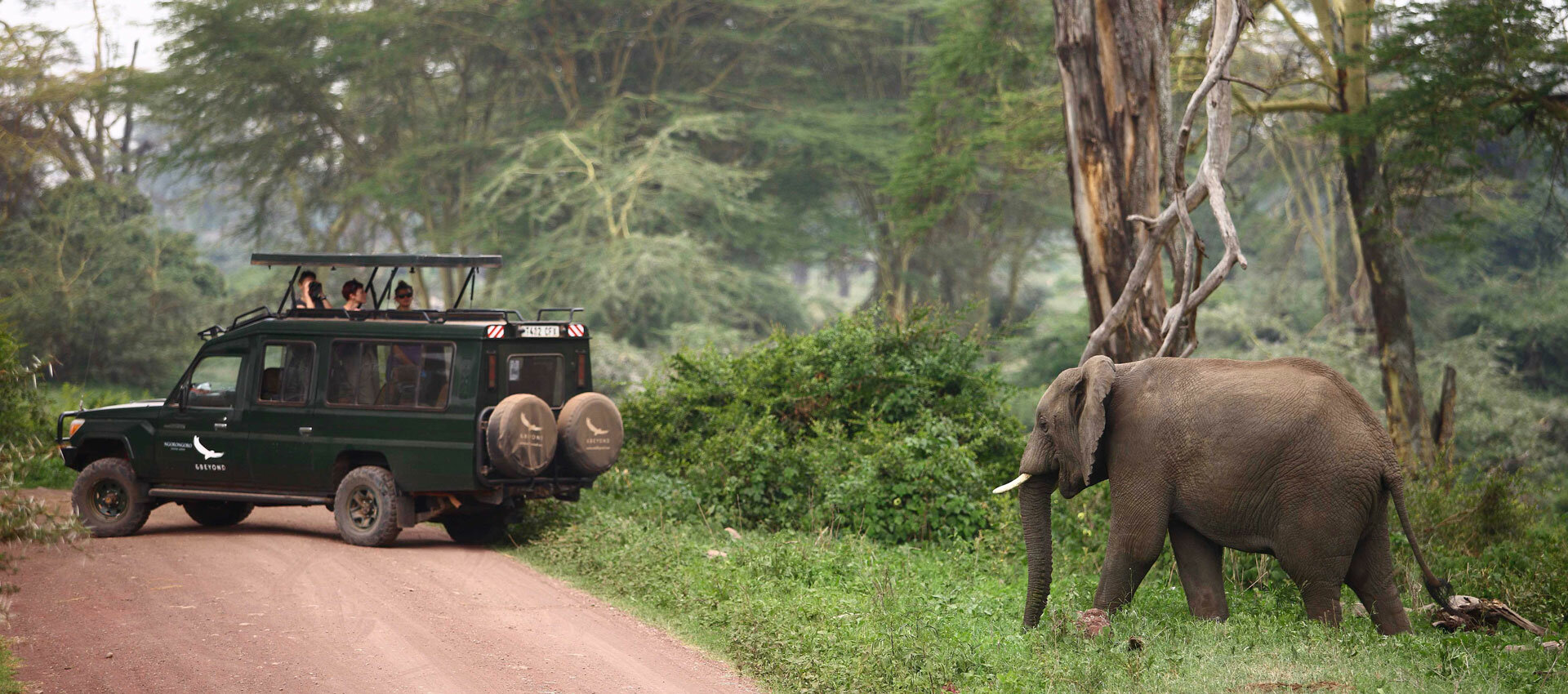 Ngorongoro Crater Lodge Танзания