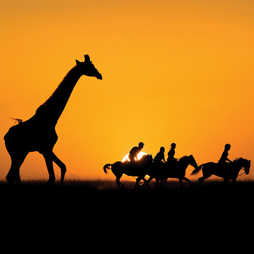 Safari monté dans les plaines du Kenya