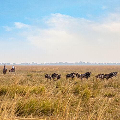 Simalaha : les plaines zambiennes à cheval