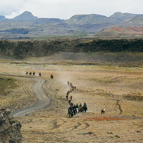 Au rythme du tölt Islandais, dans la vallée de Þórsmörk