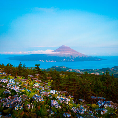 Les Açores en famille : un quatuor d'îles authentiques