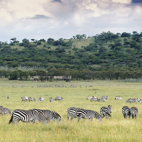 Evasion singulière : Slow Safari et Île Privée en Tanzanie