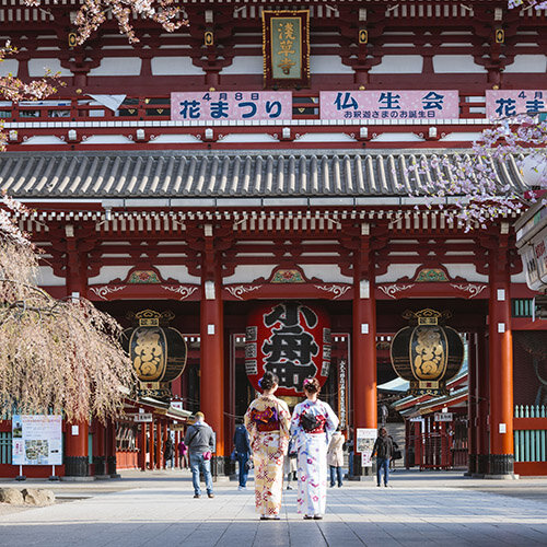 Charme hivernal du Japon