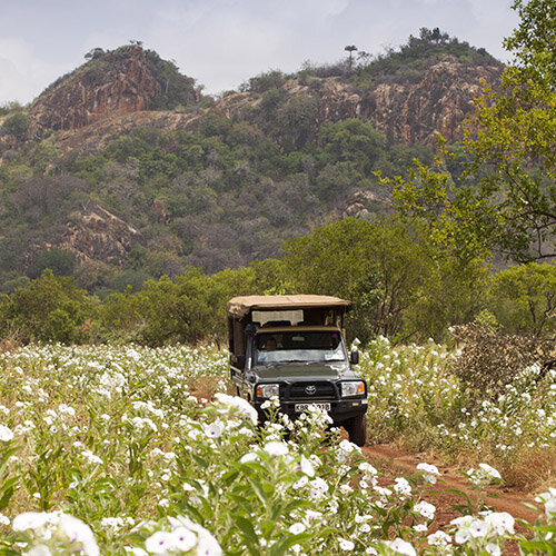 Entre Savane et Lagons : Immersion Privée du Kenya aux Seychelles