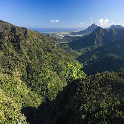 Aventures épicuriennes : de Maurice à Rodrigues